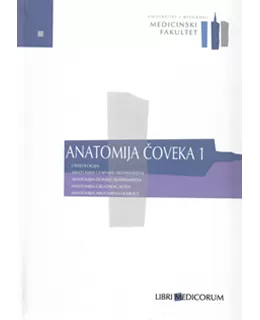 anatomija_oveka_1