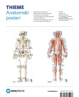 anatomski_posteri_kosti_i_miii