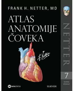 atlas_anatomije_oveka_-_netter_7__izdanje